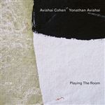 Playing The Room - Vinilo