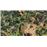 Zoo Tycoon : Ultimate Animal Collection PC_6