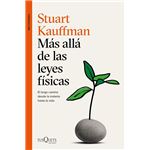 Más allá de las leyes físicas