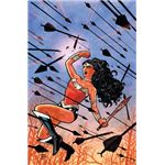 Wonder Woman: Sangre (DC Pocket)