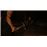 The Last of Us Parte II - Ed. Coleccionista - PS4_4