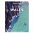 Experience Wales 1