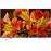 TV LED 65" Sony KD65XF8596 4K UHD HDR Android TV_0