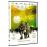 Melanie. The girl with all the gifts - DVD