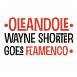 Wayne Shorter Goes Flamenco - CD