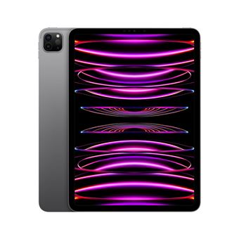 Apple iPad Pro 2022 11'' M2 256 GB Wi-Fi Gris espacial