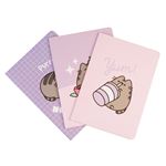 Pack 3 Cuadernos Erik A5 Pusheen Moments