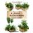 Jardines en cajas de madera