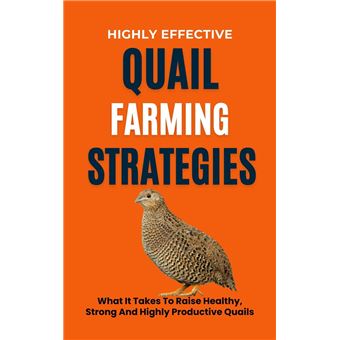 Highly Effective Quail Farming Strategies: What It Takes To Raise Healthy, Strong And Highly Productive Quails - 1