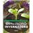 Cómo cultivar plantas en tu propio invernadero