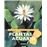 Plantas de acuario