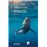 Tiburones