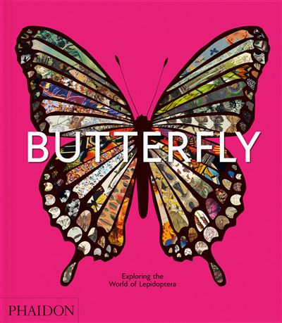 Phaidon Azul/Blanco/Negro Butterfly