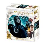 Redstring Puzzle Lenticular Harry Potter Slytherin 300 Piezas