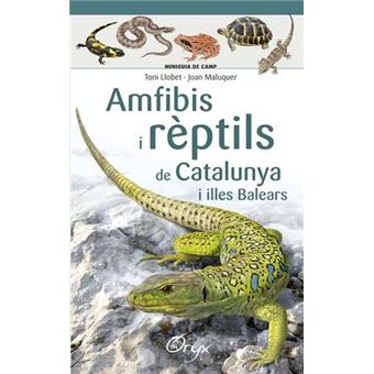 Amfibis i reptils de catalunya
