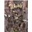 Blacksad Stories: Weekly
