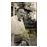 Conversaciones Con Stefan Zweig