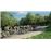Tour de France 2025 Xbox Series X