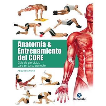 Anatomia & entrenamiento del core