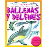 Ballenas y delfines-pequeños & gran