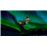 The Elf on the Shelf: Héroes de la Navidad Nintendo Switch