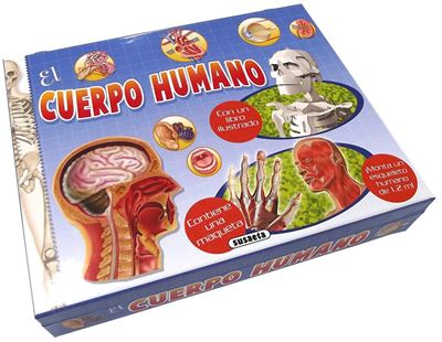 Susaeta El Cuerpo Humano