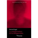 La Estupida Belleza De Las Deflagraciones