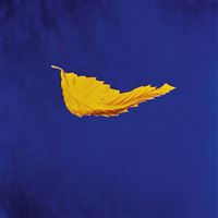 True Faith - Vinilo