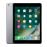 Apple iPad 9,7" 32GB WiFi + Cellular Gris espacial_0
