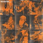 Unaltered Perspective - Vinilo