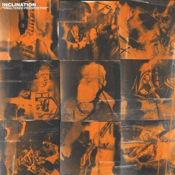 Unaltered Perspective - Vinilo