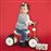 Correpasillos Rookie rojo Smoby_5