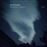 Dreamlife Of Debris - Vinilo