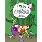 Buscant la pedra llimosa (el fèlix