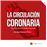 La circulación coronaria: fisiología y fisiopatología