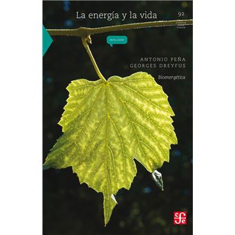 La energía y la vida