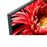 TV LED 85'' Sony Bravia KD-85XG8596 4K UHD HDR Smart TV_2