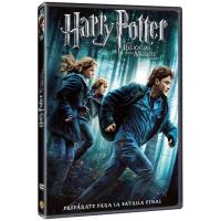Harry Potter y las reliquias de la muerte (Parte 1) - DVD
