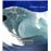 Oceanos Y Mares