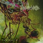 Mosquito - 2 CDs