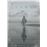 Libres - DVD