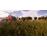 Real Farm Xbox One_1