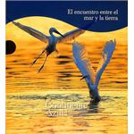 El Encuentro Entre El Mar Y La Tierra