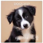 Calendario 2027 Grande Perros