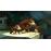 Donkey Kong Country: Tropical Freeze Selects Wii IU_1