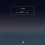 Does Spring Hide Its Joy - 3 Vinilos