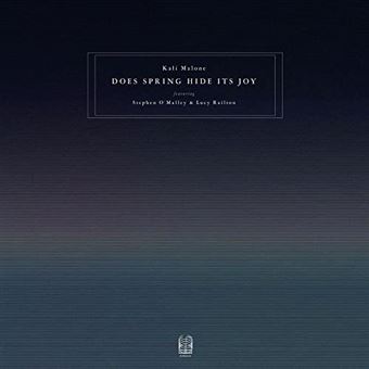 Does Spring Hide Its Joy - 3 Vinilos