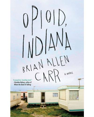 Opioid, Indiana
