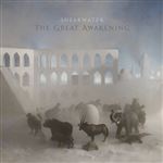 The Great Awakening - 2 Vinilos