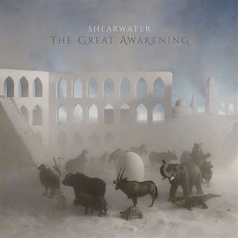 The Great Awakening - 2 Vinilos